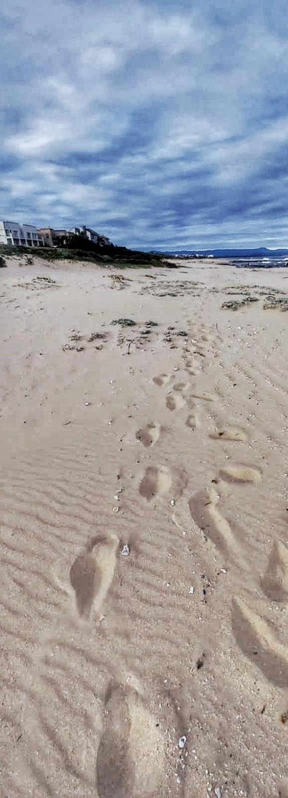 Sunset Sands Jeffreys Bay Ngoại thất bức ảnh